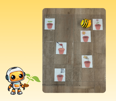 «Μαθαίνω με τη Bee bot τα στάδια ανάπτυξης του φυτού!»